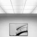 Why You Need to Install Acoustic Ceiling Tiles