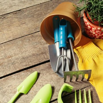 Transforming your outdoor space with affordable garden supplies