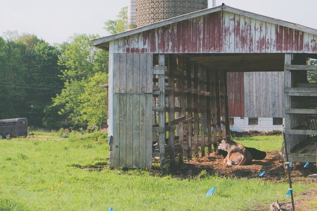 Exploring the versatility of custom pole barns: From storage spaces to workshops